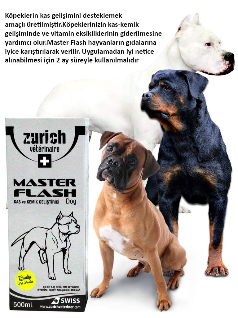 Zurich Master Flash Kopekler Icin Kas Kemik Gelistirici