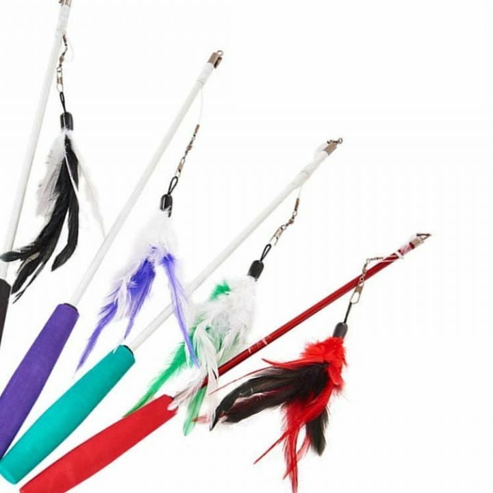 Nunbell Kedi Oltası Uzatmalı