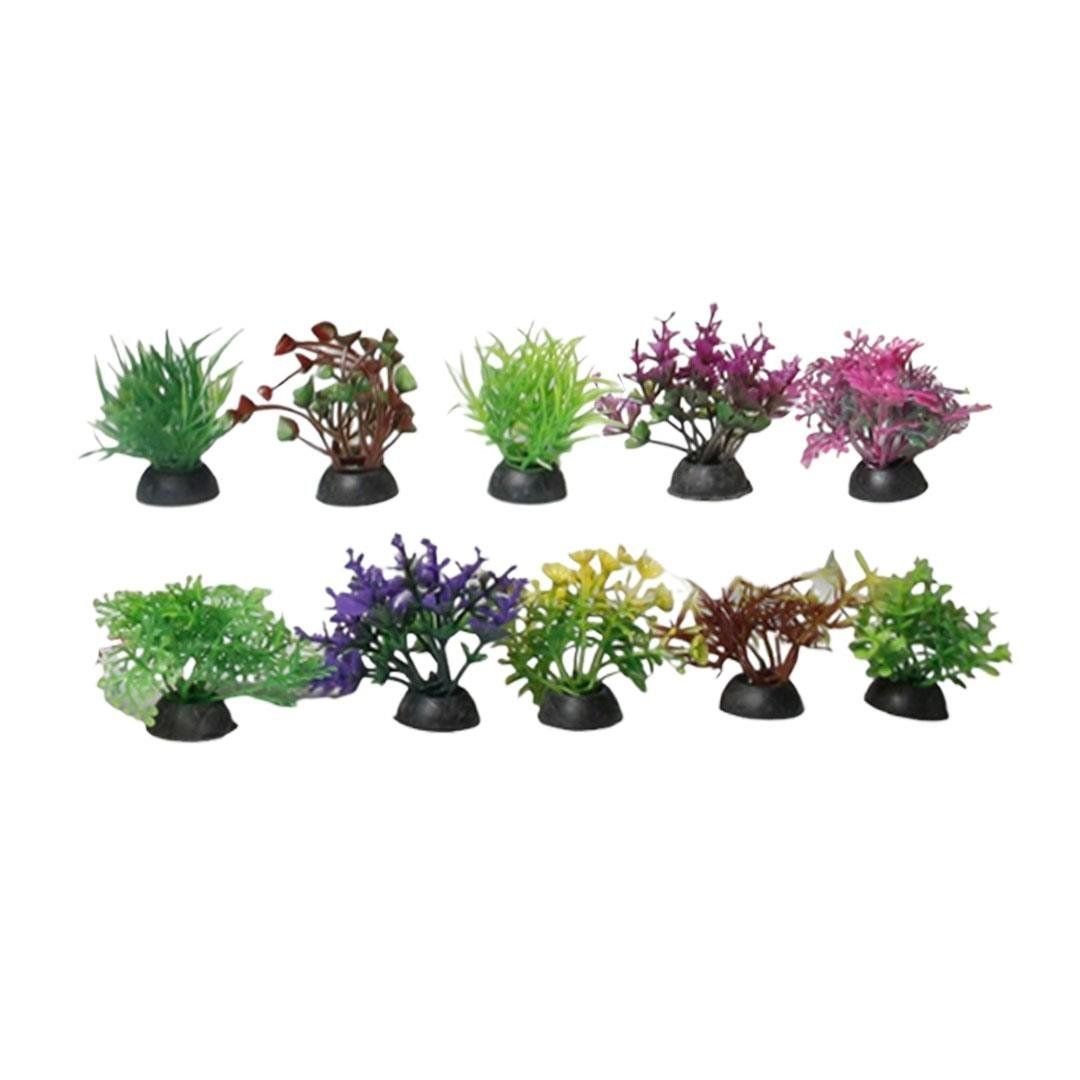 Karışık Akvaryum Bitkisi 3 cm 20 li paket