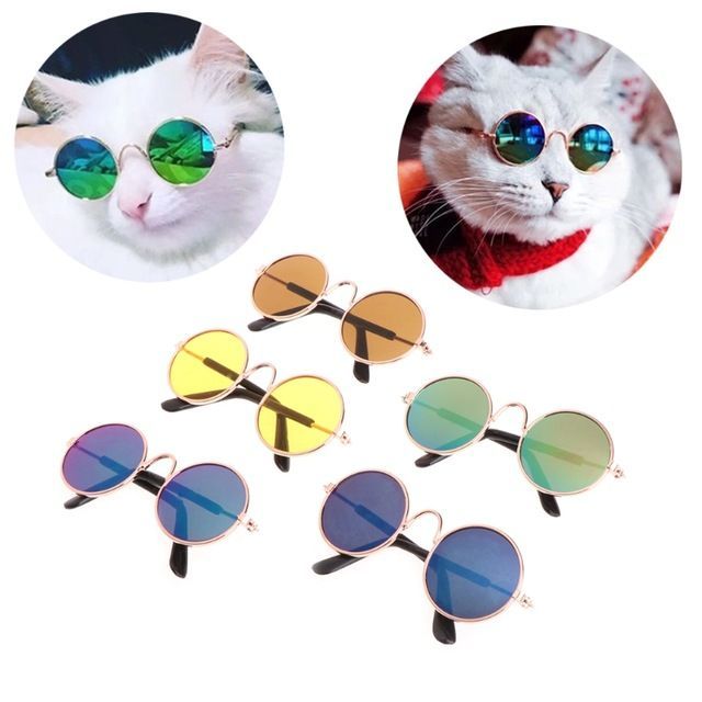Eon Pet Kedi Köpek Gözlük