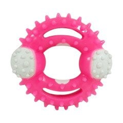 Benny Diş Kaşıma Köpek Oyuncağı Yuvarlak