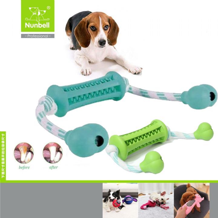 NUNBELL KÖPEK OYUN.DİŞ KAŞIMA L