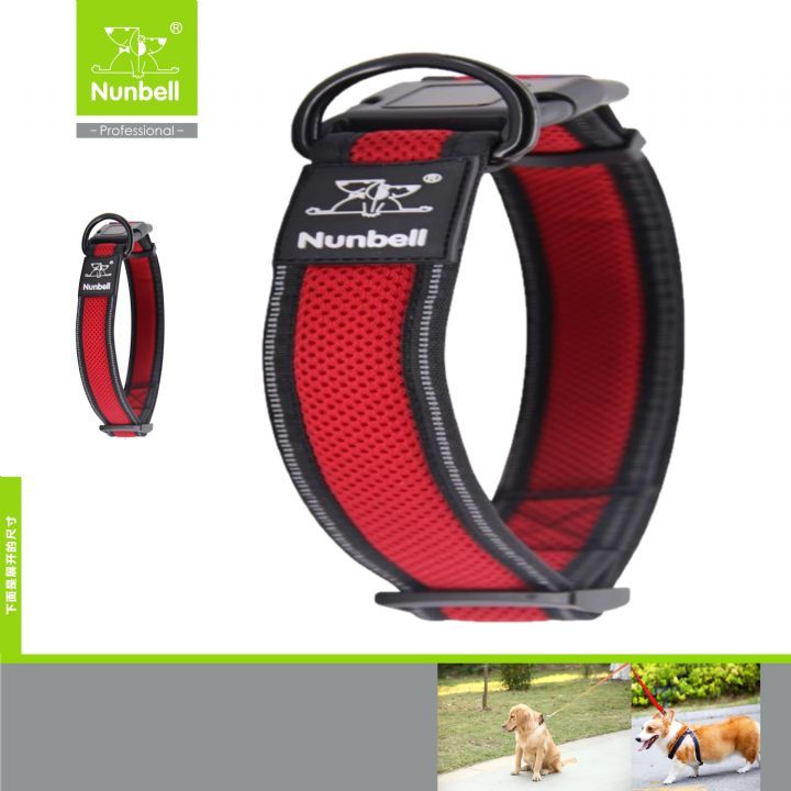 NUNBELL KÖPEK BOYUN TASMASI AİR-MESH 2.5CM