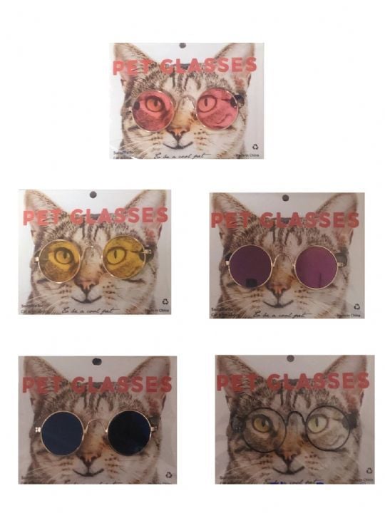 Eon Kedi Köpek Gözlük +Gözlük İpi