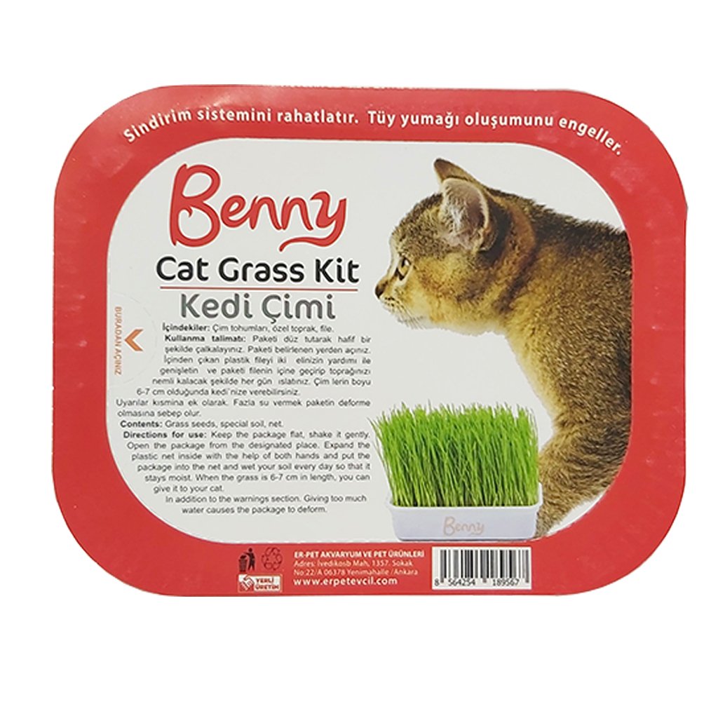 Benny kedi çimi