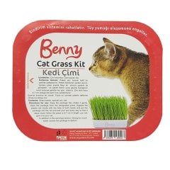 Benny kedi çimi